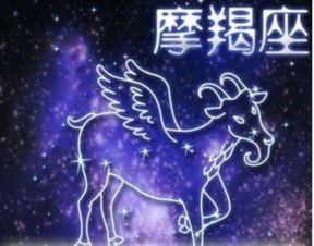 五月份生的是什么星座（五月出生的人属于哪个星座）