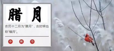 腊月初一是什么星座（腊月初一出生人的星座特点）