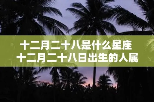 二月十八是什么星座（二月十八出生的人属于什么星座）
