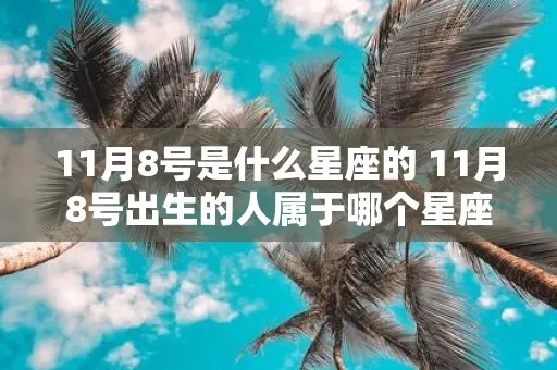 11月初8生日是什么星座，11月初8星座性格特点分析