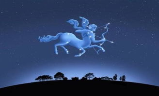 十一岁是什么星座（解析十一岁对应的星座）