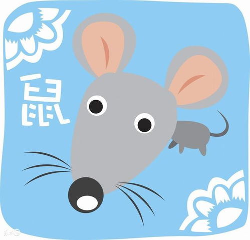 鼠属于什么星座,鼠年生肖对应的星座是什么