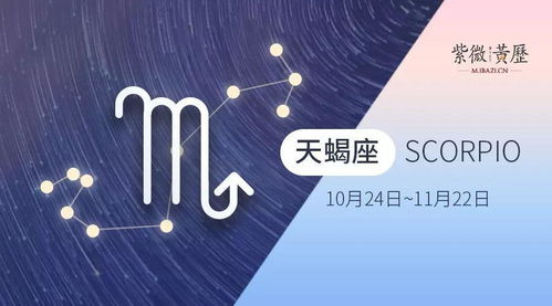 新历12月是什么星座，12月星座运势解析