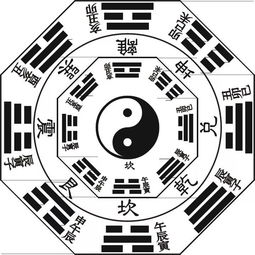 8月24号出生的人是什么星座,8月24日星座特点分析