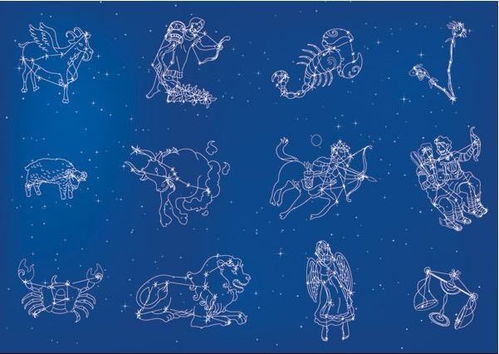 9月12是什么星座（9月12日生日的星座是什么）