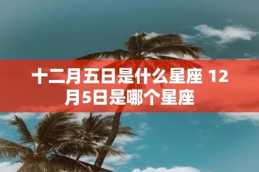 十二月十五号是什么星座（十二星座解析）