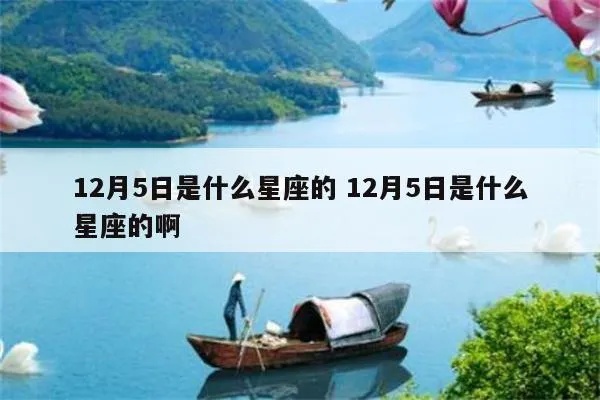 12月5号是什么星座，12月5日生日星座特点解析