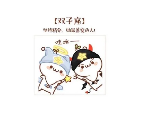 双子座容易被哪种星座克制，双子座的弱点分析