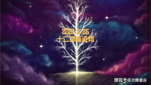 2月26日生日星座是什么,2月26日星座运势分析