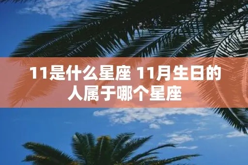 阴历11月11日是什么星座，11月11日生日星座特点分析