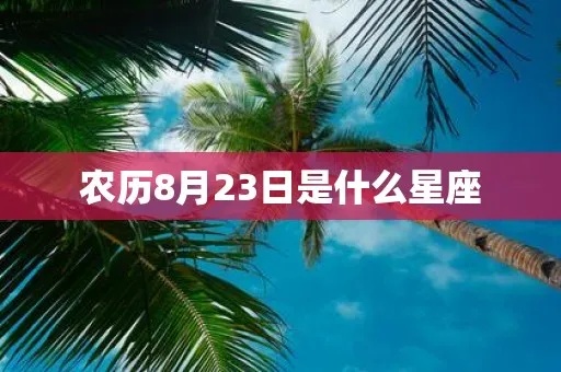 农历2月28日是什么星座（星座查询及解析）