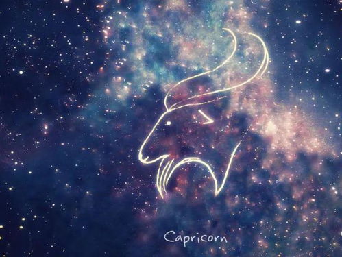 摩羯座和哪个星座性格相似 跟摩羯和的星座