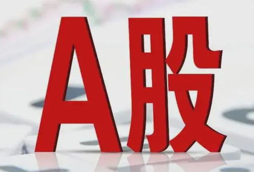 散户如何选择适合的赚钱项目 (散户投资的赚钱项目选择技巧)