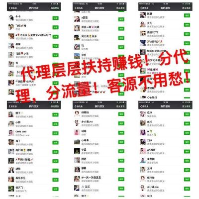 免费做什么代理最赚钱,免费代理项目推荐及盈利分析