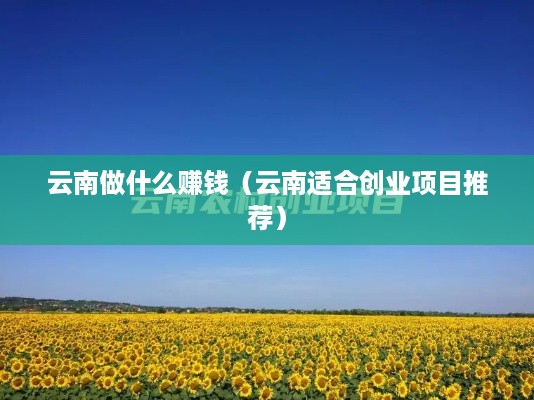 云南做什么赚钱（云南适合创业项目推荐）
