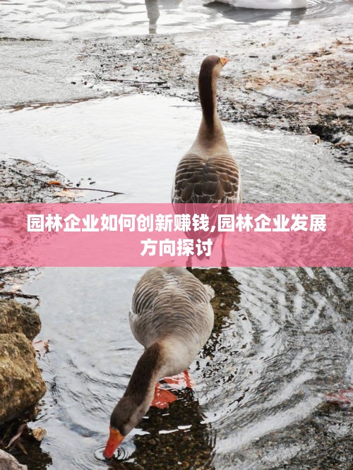 园林企业如何创新赚钱,园林企业发展方向探讨