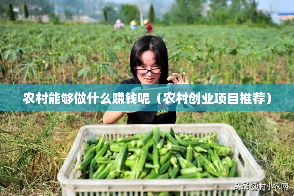 农村能够做什么赚钱呢（农村创业项目推荐）