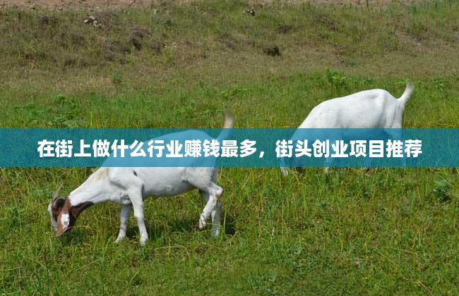 在街上做什么行业赚钱最多，街头创业项目推荐