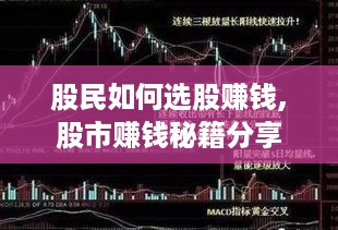 股民如何选股赚钱,股市赚钱秘籍分享