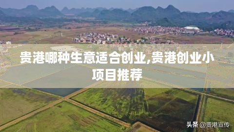 贵港哪种生意适合创业,贵港创业小项目推荐
