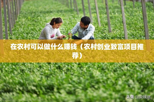 在农村可以做什么赚钱（农村创业致富项目推荐）