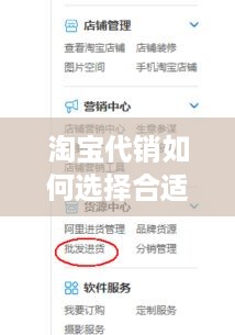 淘宝代销如何选择合适的产品赚钱,淘宝代销赚钱技巧分享
