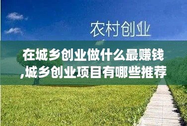 在城乡创业做什么最赚钱,城乡创业项目有哪些推荐