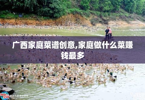 广西家庭菜谱创意,家庭做什么菜赚钱最多