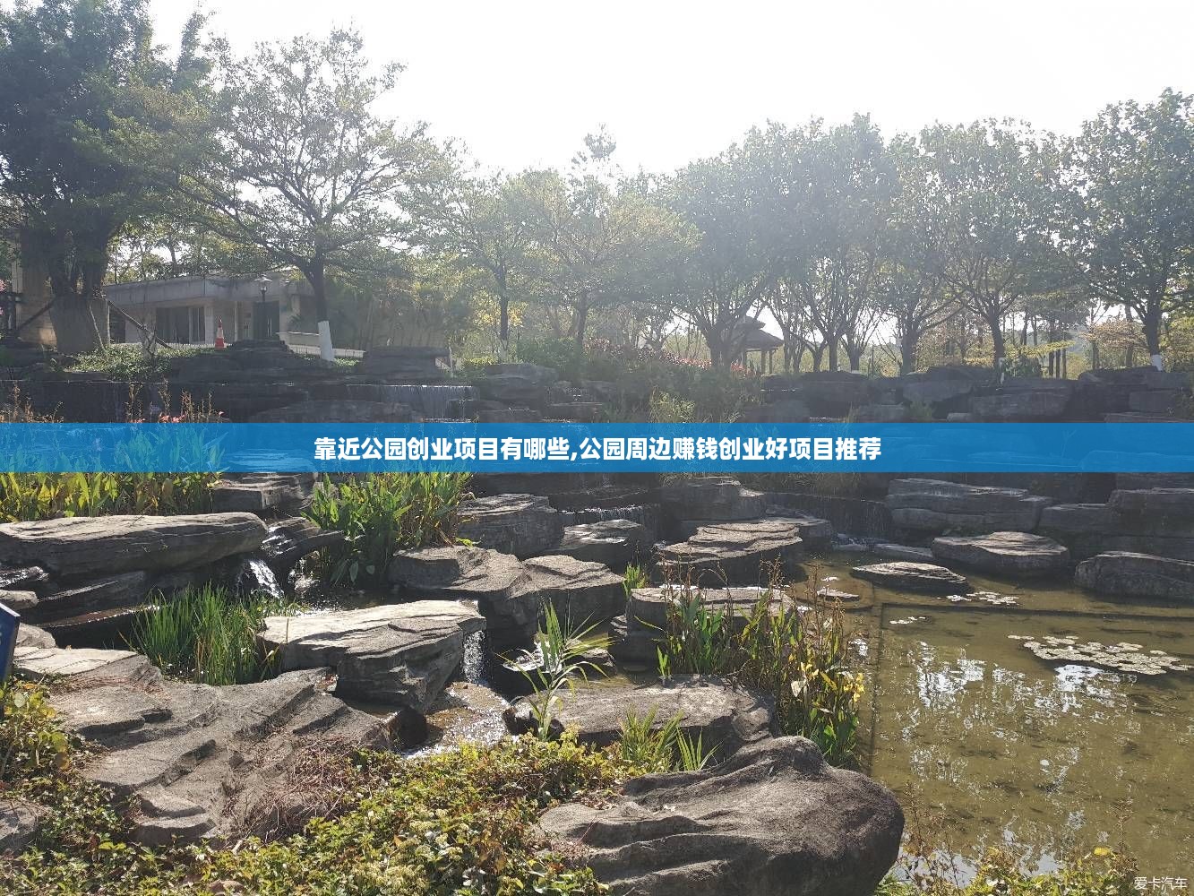 靠近公园创业项目有哪些,公园周边赚钱创业好项目推荐
