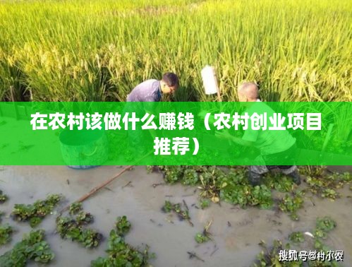 在农村该做什么赚钱（农村创业项目推荐）