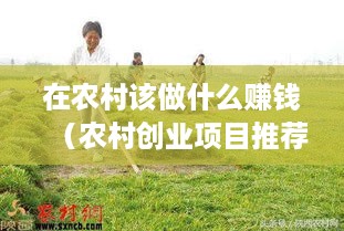 在农村该做什么赚钱（农村创业项目推荐）