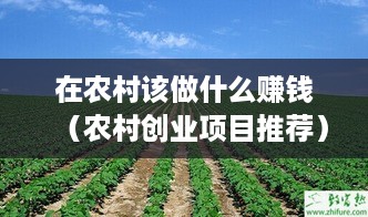 在农村该做什么赚钱（农村创业项目推荐）