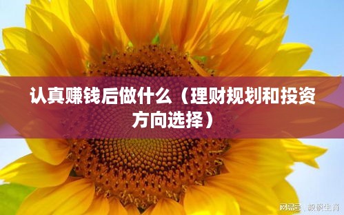 认真赚钱后做什么（理财规划和投资方向选择）