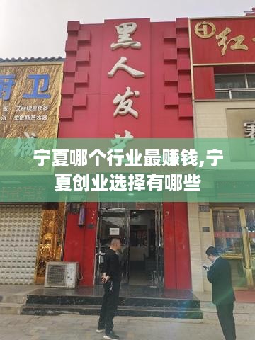 宁夏哪个行业最赚钱,宁夏创业选择有哪些