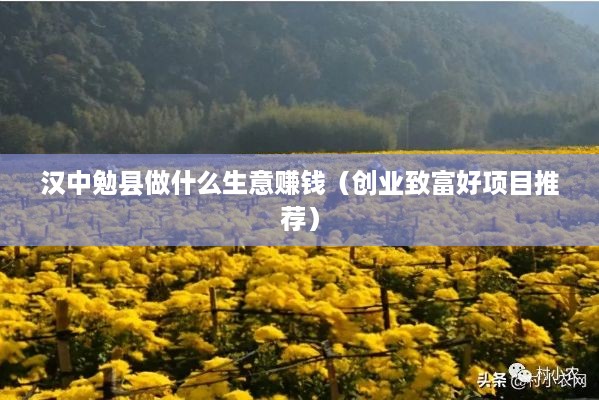 汉中勉县做什么生意赚钱（创业致富好项目推荐）