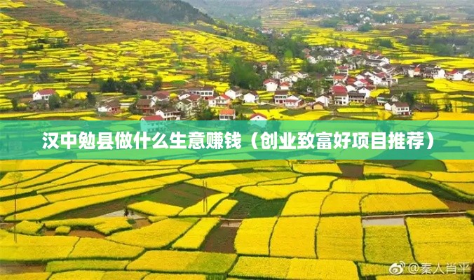 汉中勉县做什么生意赚钱（创业致富好项目推荐）