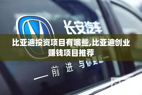 比亚迪投资项目有哪些,比亚迪创业赚钱项目推荐
