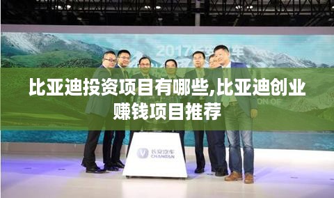 比亚迪投资项目有哪些,比亚迪创业赚钱项目推荐