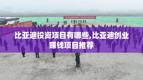 比亚迪投资项目有哪些,比亚迪创业赚钱项目推荐
