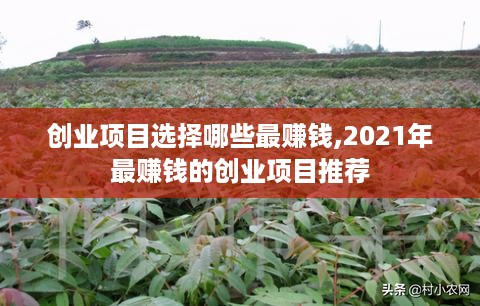 创业项目选择哪些最赚钱,2021年最赚钱的创业项目推荐