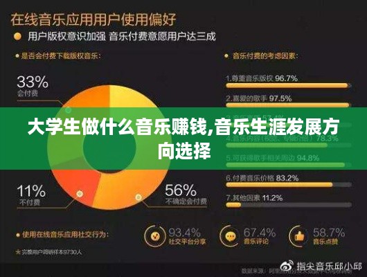 大学生做什么音乐赚钱,音乐生涯发展方向选择