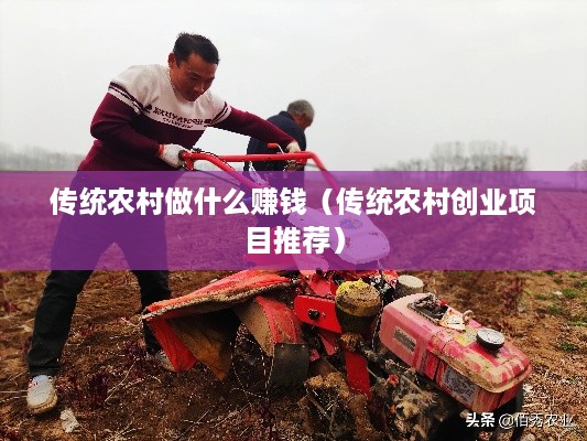 传统农村做什么赚钱（传统农村创业项目推荐）