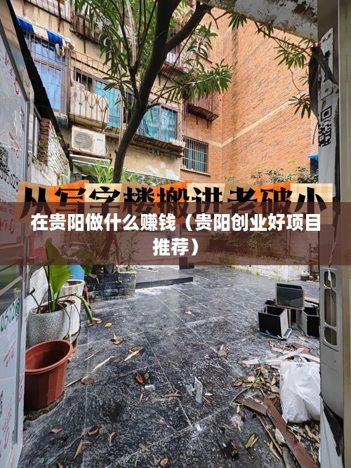 在贵阳做什么赚钱（贵阳创业好项目推荐）