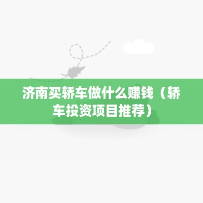 济南买轿车做什么赚钱（轿车投资项目推荐）