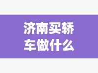 济南买轿车做什么赚钱（轿车投资项目推荐）
