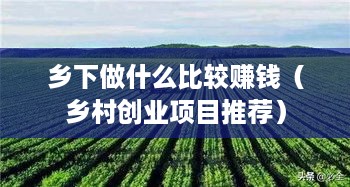 乡下做什么比较赚钱（乡村创业项目推荐）