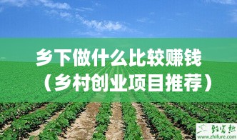 乡下做什么比较赚钱（乡村创业项目推荐）
