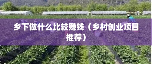 乡下做什么比较赚钱（乡村创业项目推荐）
