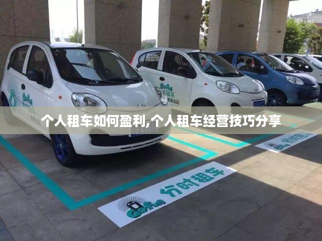 个人租车如何盈利,个人租车经营技巧分享