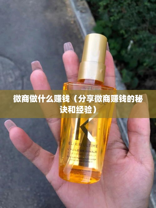 微商做什么赚钱（分享微商赚钱的秘诀和经验）